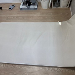 トゥルースリーパー シングル マットレスの画像