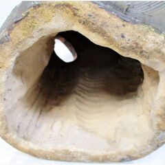 たぬき　置物　縁起物　陶器製　全長約47cm 狸 タヌキ 商売繁盛 開運 招福 玄関飾り オブジェ レトロ アンティーク　1017ZSの画像