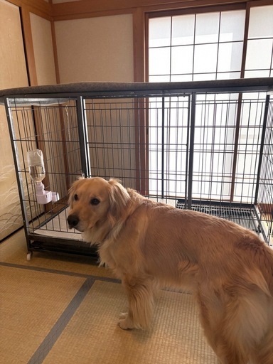 大型犬4Lケージ