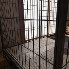 大型犬4Lケージの画像