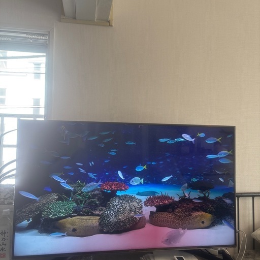 液晶テレビ BRAVIA(ブラビア) KJ-49X9500H