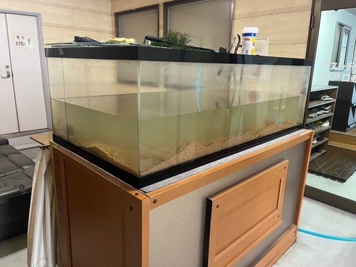 熱帯魚水槽②
