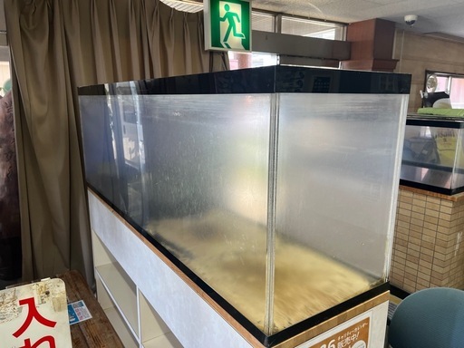 熱帯魚水槽③