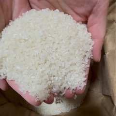 米30kgきぬむすめの画像