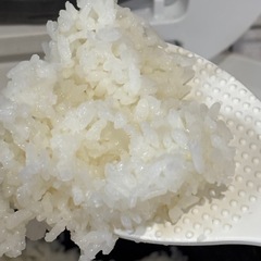 米30kgきぬむすめの画像