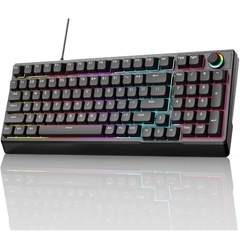 新品未使用❣️ ゲーミングキーボード 赤軸 98 キー LEDバックライトの画像