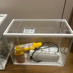 オールガラス水槽の画像