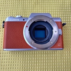 Panasonic LUMIX GF7W ダブルレンズ 美品 自撮りミラーレス 純正ケース付
の画像