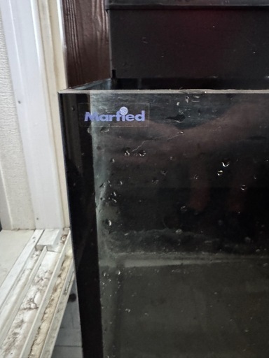 オールガラス水槽