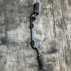 カブ、ステップ、モンキー、シャリーの画像