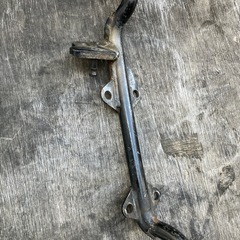 カブ、ステップ、モンキー、シャリーの画像