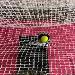 マイオートテニス 全自動球出し機 テニス練習機 自作移動台付きの画像