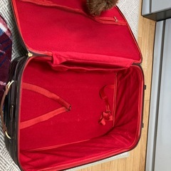 スーツケース　　
の画像