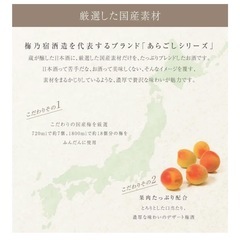 梅乃宿 あらごし梅酒 720ml ギフトBOX付 国産梅約7個使用 濃厚デザート梅酒 高級梅酒 贈答 プレゼントの画像