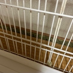 ゲージ　お値下げ　2個ありの画像