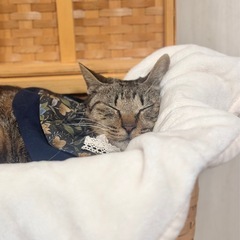 甘えん坊すぎて困っちゃう♡おっとり穏やかなチャム！