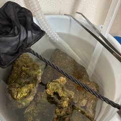 アクアリウムセットの画像