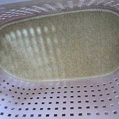 アイリスオーヤマ メッシュペットキャリー キャリーケース　ハード 猫 小型犬 小動物 ピンク 中古の画像