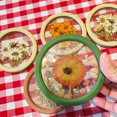 押し花 コースター 5個セットの画像