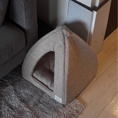 未使用猫ベッドの画像