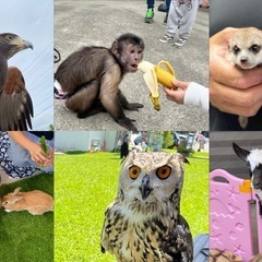 🌴4/4(土) 出店者様募集| SEASIDE FESTIVAL🌴 - イベント