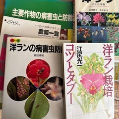主に洋ランの参考書の画像