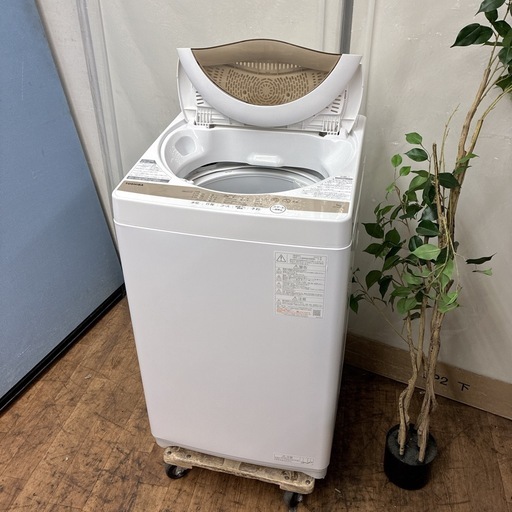 【?買取市場 6ヶ月保証】S113 ⭐  TOSHIBA 洗濯機（洗濯5.0㎏) 22年製 AW-5GA1 ⭐ 動作確認済 ⭐ クリー