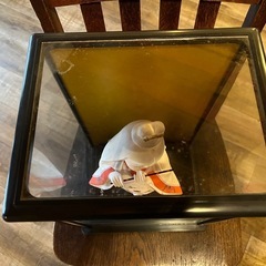 博多人形 夕笛 博多人形商工業協同組合ラベル付き  の画像