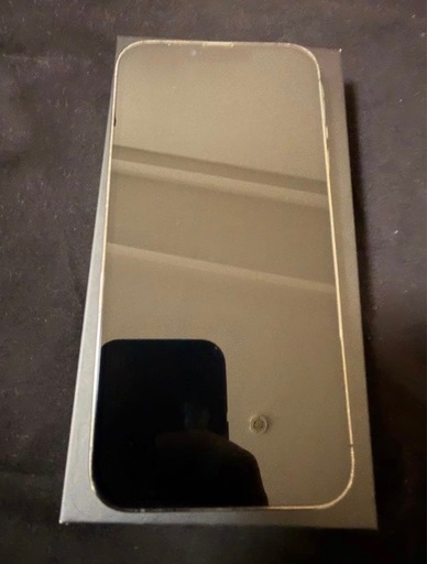iPhone13Pro Max