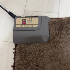 ホットクッションの画像