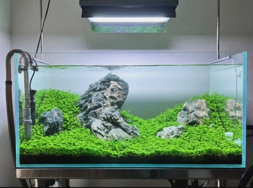90センチ水槽　アクロスーパークリア