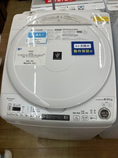 【6ヶ月保証】SHARP シャープ　8.0kg 洗濯機　ES-TX8F-W 2022年製