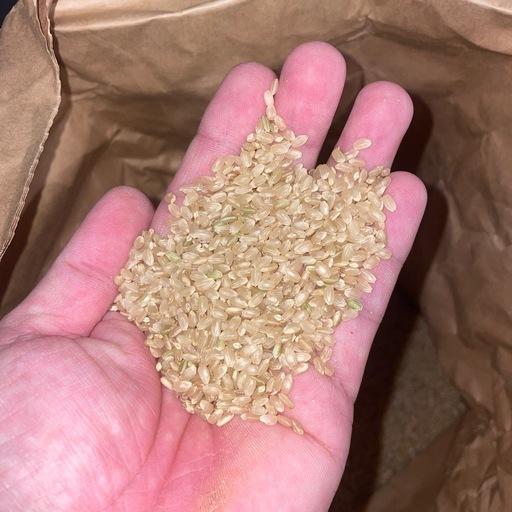 令和7年度　ヒノヒカリ玄米15kg×4袋　計60kg