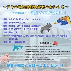 一緒にドラゴンズを応援しよう！