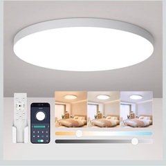 ライト10畳用、アプリ操作可能の画像