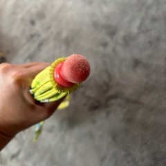 わんわん　傘　35㎝の画像