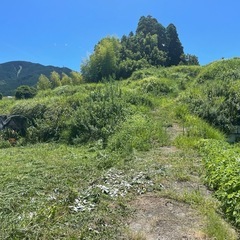 雑草の抜根、整地をお願いできる方の画像