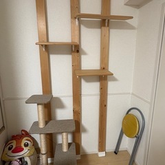 キャットタワー（DIY含）の画像