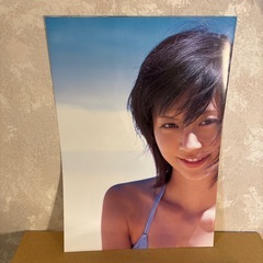 安田美沙子　大判写真集の画像