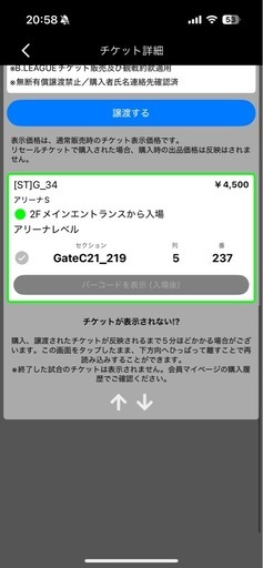 琉球ゴールデンキングス　チケット　レバンガ北海道戦