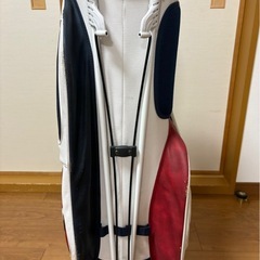	【早い者勝ち】ゴルフ キャディバッグ の画像
