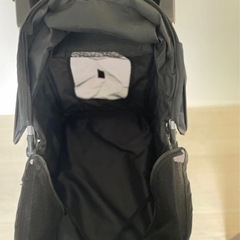 ペットカート　バギーの画像