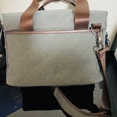 一眼レフカメラ　防湿庫　バッグの画像