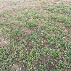 土、残土の画像