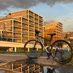 SCOTT 「スコット」 SUB CROSS J1 LIMITED 2021年モデル クロスバイクの画像