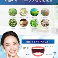 新品　ルビーホワイト マウスウォッシュ 低刺激 マイルドミント 口臭ケア 口臭の画像