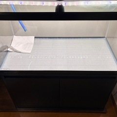 【3月12日まで】90センチ水槽一式の画像
