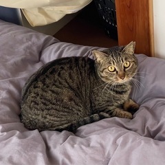 とってもかわいいスリゴロ女子