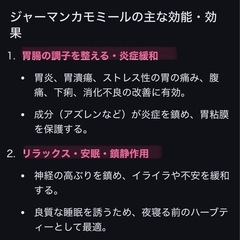 ③カモミール苗 大量　大きく育ってきましたの画像