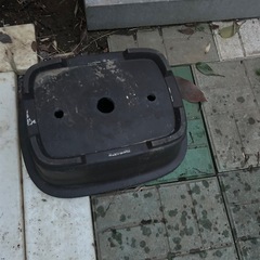 参樹陶園　2点　楕円　盆栽鉢　の画像